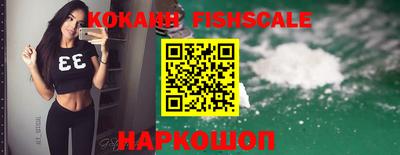 амф Новодвинск