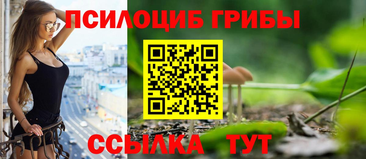 Таганрог  Псилоцибиновые грибы Cubensis  Вход с VPN  где продают   Псилоцибиновые грибы ЛСД 