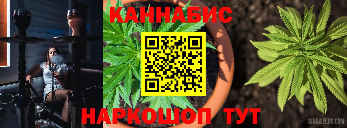 Бошки марихуана семена Таганрог